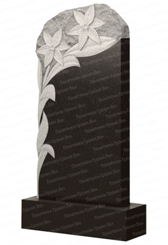 Памятник Толочин изображение